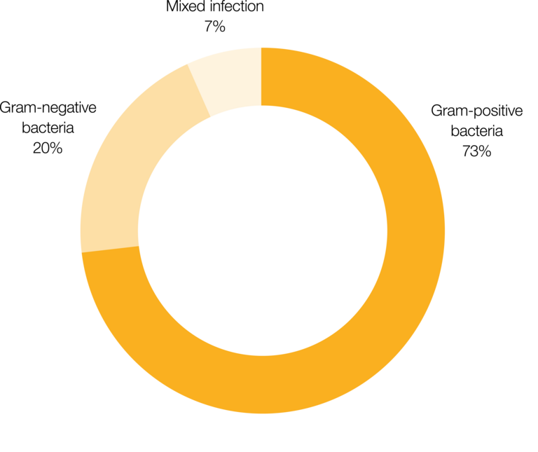 Graphic Xabo: Gram-positive and Gram-negative bacteria